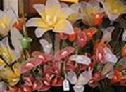 Fiori non fiori, buoni da mangiare