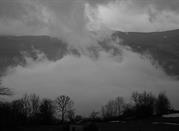 Fog