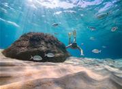 Immersioni nei fondali di sabbia bianca e acqua trasparente a Cagliari