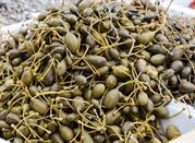 Pantelleria, produzione di capperi