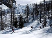 Journée sportive