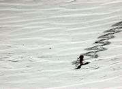 The ski