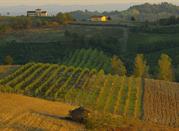 Le colline di vitigni