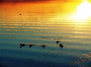 Tramonto sul lago 
