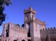 Rocca degli alberi