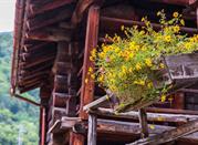 Chalet Walser ad Alagna Valsesia