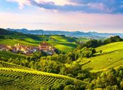 Vigneti a Barolo, Cuneo