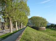 Lucca, Mura