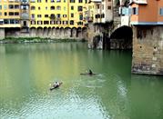 Rowing-Ponte Vecchio