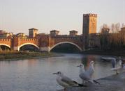 Verona in the evening seen from Castel San Pietro