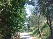 Sentieri, Parco di Sant'Angelo
