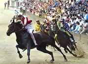 Palio