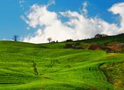 Molise