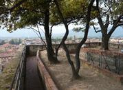 Lucca, Torre Guinigi