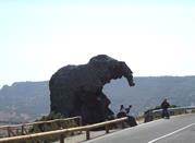 la roccia dell'elefante
