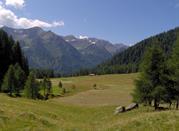Un sentiero tra le montagne in estate