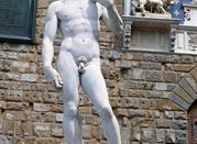 david