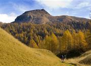 Passeggiata sui monti della Verbania