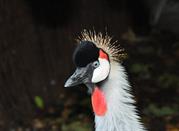 Parco Tropicale