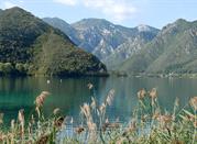 Mountains Concei