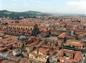 View of the 