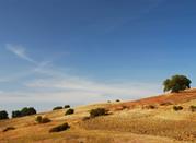 Molise