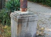 Ordigno nei giardini pubblici