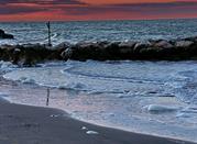 mare