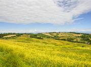 Monferrato