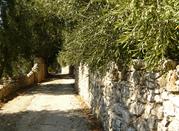 strada vecchia