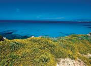 L'Isola di Pianosa