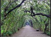Florence, Boboli Gardens