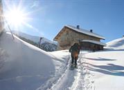 Ciaspole a Livigno
