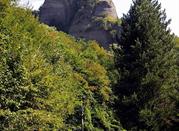 Torrente Scrivia