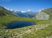Il laghetto del parco dello Stelvio