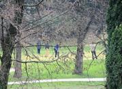 Il campo da golf