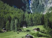 Panorama di Mezzana in Val di Sole