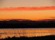 Le saline