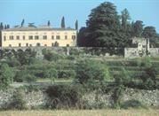 Bornato
