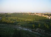 Landschaft