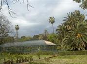 Greenhouse