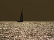 Mare