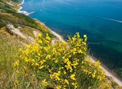 Gabicce Mare, Parco Naturale di San Bartolo