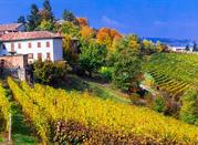 Gattinara, Vercelli, vigneti