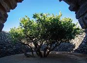 Giardino pantesco