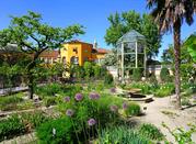 Orto botanico di Padova