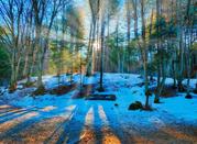 Paesaggio invernale dl Parco dell'Aspromonte