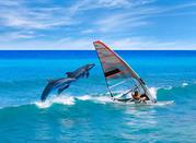 Palau, windsurf e delfini