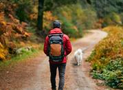 Passeggiata nei boschi a Chiusa di Pesio