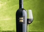 Primitivo di Manduria